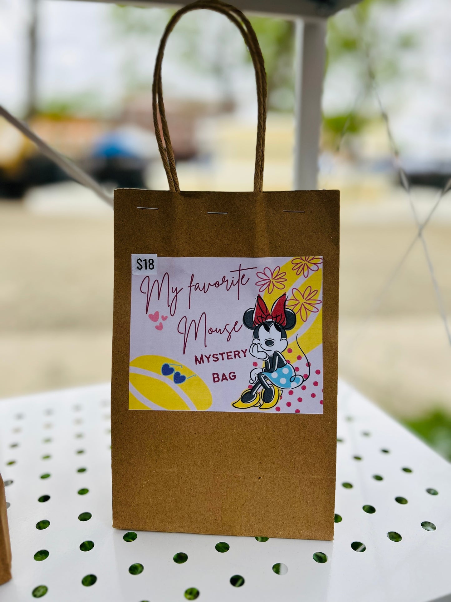 My Favorite Mouse Mystery Bag